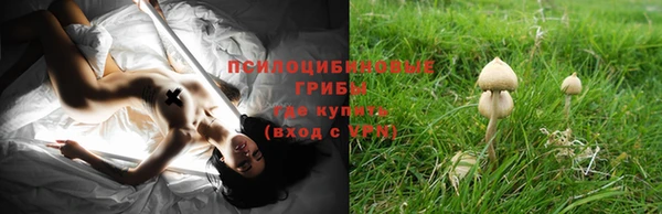 молекула духа Алексин