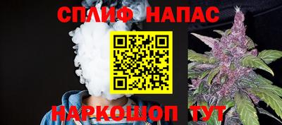 прущие грибы Уссурийск