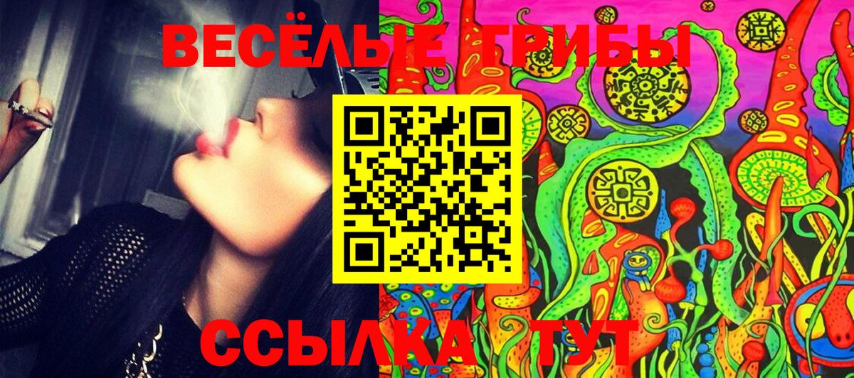 Галлюциногенные грибы Psilocybine cubensis  купить наркотик  Челябинск  Вход с VPN 